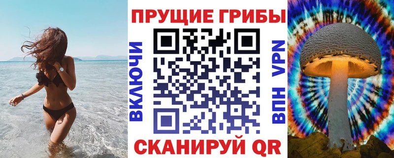 Галлюциногенные грибы Psilocybe  цены наркотик  Бийск 