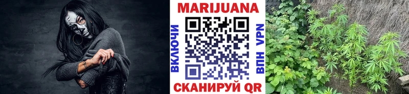 что такое наркотик  Бийск  Бошки марихуана White Widow 